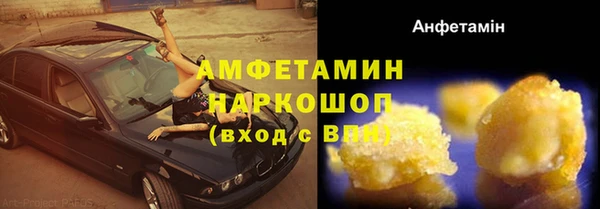 дмт Богданович