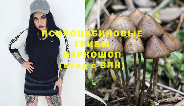 ALPHA-PVP Бородино