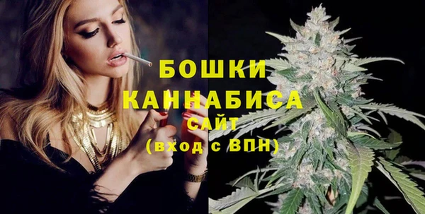 дмт Богданович