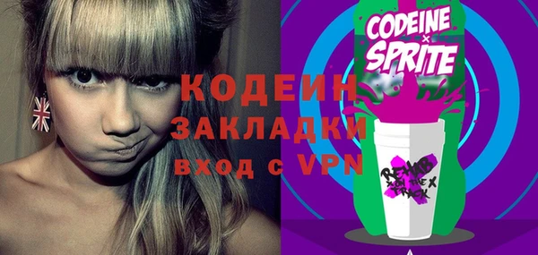 дмт Богданович
