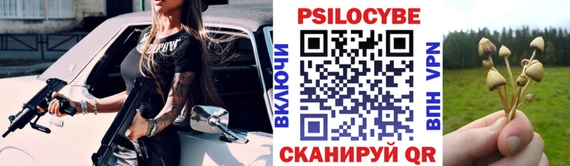 наркота Дальнегорск мега зеркало Галлюциногенные грибы Cubensis